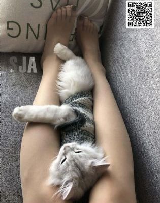 我想看全黄特级一级_DVDBD在线观看